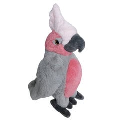 Плюшевая игрушка - попугай, 22 см цена и информация | Мягкие игрушки | 220.lv