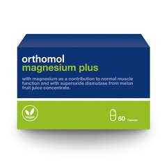 Orthomol Magnesium Plus kapsulas N60 цена и информация | Витамины, пищевые добавки, препараты для хорошего самочувствия | 220.lv