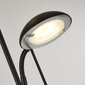 Searchlight grīdas lampa Mother & Child LED EU5430BK cena un informācija | Stāvlampas | 220.lv