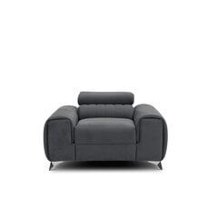 Кресло  Laurence, серый цвет цена и информация | Кресла в гостиную | 220.lv