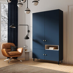 Шкаф  Includo, 120x60x205 см, синий цвет цена и информация | Шкафы | 220.lv