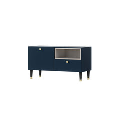 TV galdiņš Includo, 100x55x40 cm, zils cena un informācija | TV galdiņi | 220.lv