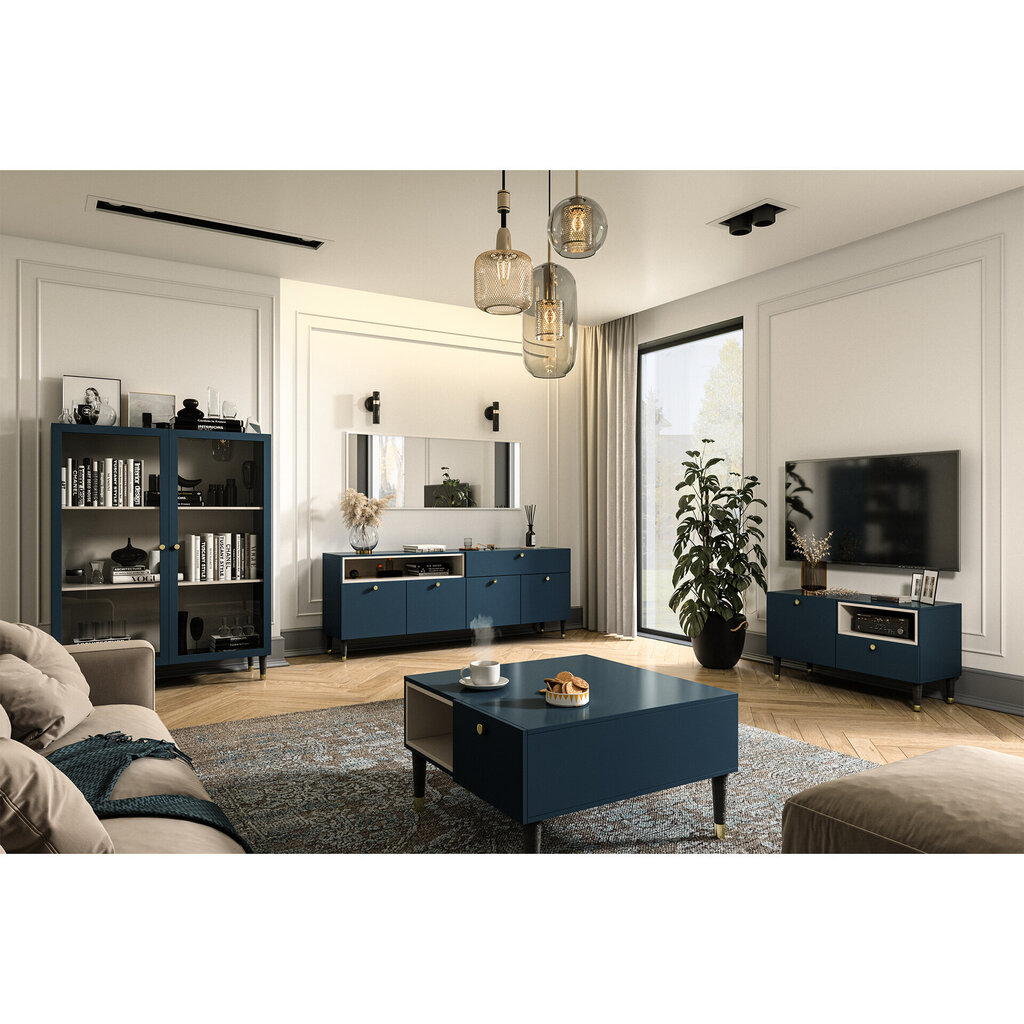 TV galdiņš Includo, 100x55x40 cm, zils цена и информация | TV galdiņi | 220.lv
