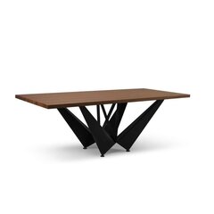 Обеденный стол Micadoni Home Lottie 260x100см, темно-коричневый/черный цвет цена и информация | Кухонные и обеденные столы | 220.lv