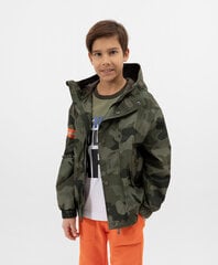 Jaka zēniem, zaļa cena un informācija | Zēnu jakas, džemperi, žaketes, vestes | 220.lv
