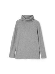 Džemperis zēniem, pelēks cena un informācija | Zēnu jakas, džemperi, žaketes, vestes | 220.lv