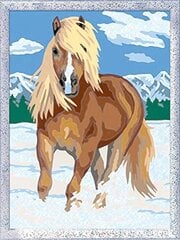 Glezna pēc cipariem Ravensburger Cure the Royal Horse, 15 krāsas cena un informācija | Gleznas pēc numuriem | 220.lv