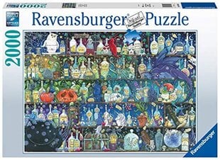 Puzle Ravensburger Poisons and Potions, 2000 d. cena un informācija | Puzles, 3D puzles | 220.lv