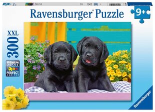 Puzle Ravensburger Suņi, 12950, 300 d. cena un informācija | Puzles, 3D puzles | 220.lv