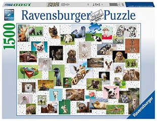 Puzle Ravensburger Funny Animal Collage, 16711, 1500 d. cena un informācija | Puzles, 3D puzles | 220.lv