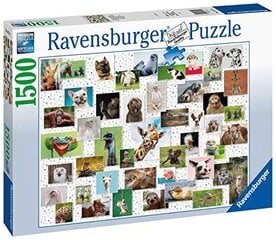 Puzle Ravensburger Funny Animal Collage, 16711, 1500 d. cena un informācija | Puzles, 3D puzles | 220.lv