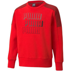 Džemperis zēniem Puma Alpha Crew FL 589266 11, sarkans cena un informācija | Zēnu jakas, džemperi, žaketes, vestes | 220.lv