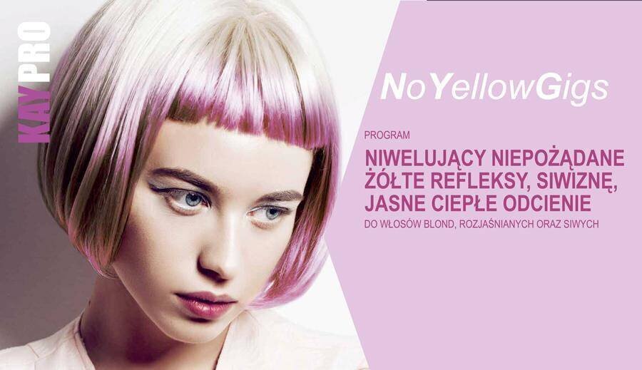 Šampūns krāsotiem matiem, neitralizējot dzeltenos toņus KayPro AntiYellowGigs , 1000 ml cena un informācija | Šampūni | 220.lv