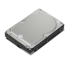 Lenovo ThinkStation 4XB0X87802 7200 RPM, 3.5 ", 6000 GB, Hard Drive, SATA 3.0, 6 Gbit/s цена и информация | Внутренние жёсткие диски (HDD, SSD, Hybrid) | 220.lv