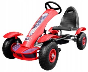 Bērnu velokarts, sarkans цена и информация | Конструктор автомобилей игрушки для мальчиков | 220.lv