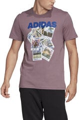 Adidas T-krekls vīriešiem Doodle Photos FN1718/L, violets cena un informācija | Vīriešu T-krekli | 220.lv