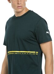 Puma Футболка Energy Triblend Tee Pondero Green 517320 06/L цена и информация | Мужские футболки | 220.lv