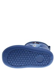 BEPPI Blue 573178650 цена и информация | Детские сапоги | 220.lv