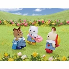 Leļļu komplekts Sylvanian Families цена и информация | Игрушки для девочек | 220.lv