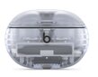 Beats Studio Buds + - True Wireless Noise Cancelling Earbuds - Transparent - MQLK3ZM/A цена и информация | Austiņas | 220.lv