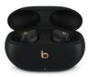 Beats Studio Buds + - True Wireless Noise Cancelling Earbuds - Black / Gold - MQLH3ZM/A цена и информация | Austiņas | 220.lv