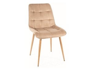 4-u ēdamistabas krēslu komplekts Signal Chic D Velvet, smilškrāsas/brūns cena un informācija | Virtuves un ēdamistabas krēsli | 220.lv