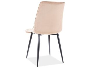Набор из 4 обеденных стульев Signal Chic D Velvet, бежевый/коричневый цвет цена и информация | Стулья для кухни и столовой | 220.lv