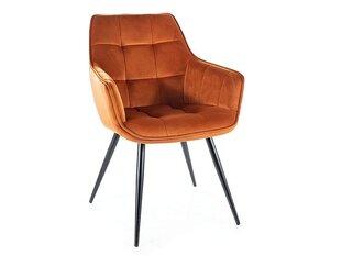 2-u ēdamistabas krēslu komplekts Signal Lilia Velvet, oranžs/melns cena un informācija | Virtuves un ēdamistabas krēsli | 220.lv