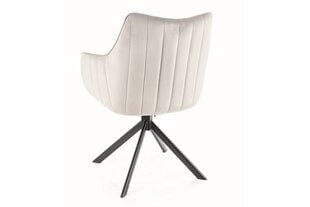 Набор из 2 обеденных стульев Signal Azalia Velvet, серый/черный цвет цена и информация | Стулья для кухни и столовой | 220.lv