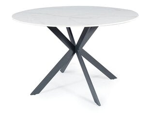 Обеденный стол Signal Talia, белый/черный цвет цена и информация | Кухонные и обеденные столы | 220.lv