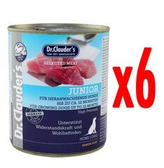 Dr,Clauder's Junior Immun Plus, 6x400g цена и информация | Консервы для собак | 220.lv