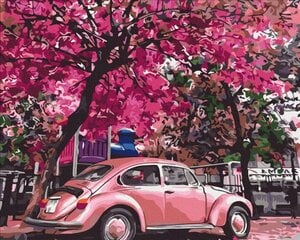 Glezniecība pēc numuriem - Pavasara autostāvvieta cena un informācija | Gleznas pēc numuriem | 220.lv