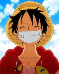 Diamanta mozaīka - Luffy One Piece Anime cena un informācija | Dimantu mozaīkas | 220.lv