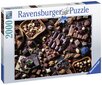 Puzle Ravensburger 16715, 2000 gab. cena un informācija | Puzles, 3D puzles | 220.lv