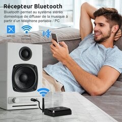 Bezvadu audio raidītājs-uztvērējs 1MII, B310Pro, melns цена и информация | Адаптеры и USB разветвители | 220.lv