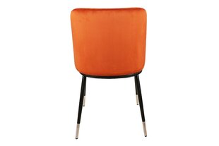 Набор из 4 обеденных стульев Signal Jill Velvet, оранжевый/черный цвет цена и информация | Стулья для кухни и столовой | 220.lv