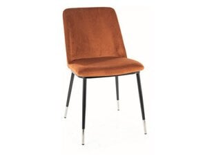 4-u ēdamistabas krēslu komplekts Signal Jill Velvet, oranžs/melns cena un informācija | Virtuves un ēdamistabas krēsli | 220.lv