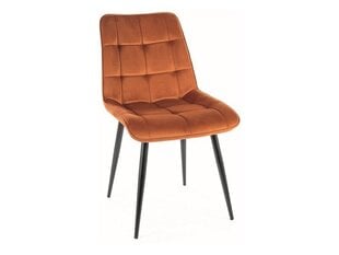 4-u ēdamistabas krēslu komplekts Signal Chic Velvet, oranžs/melns cena un informācija | Virtuves un ēdamistabas krēsli | 220.lv