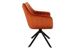 Набор из 2 обеденных стульев Signal Azalia Velvet, оранжевый/черный цвет цена и информация | Стулья для кухни и столовой | 220.lv