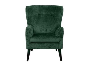Viesistabas krēsls Moti, zaļš cena un informācija | Atpūtas krēsli | 220.lv