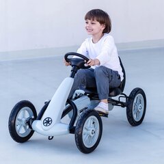 Mašīna bērniem Go-kart цена и информация | Конструктор автомобилей игрушки для мальчиков | 220.lv