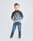 Džemperis zēniem, zils cena un informācija | Zēnu jakas, džemperi, žaketes, vestes | 220.lv