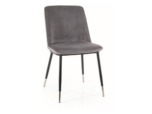 Набор из 4-х обеденных стульев Signal Jill Velvet, серый/черный цвет цена и информация | Стулья для кухни и столовой | 220.lv