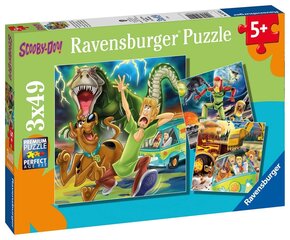 Puzle Ravensburger Puzzle Scooby Doo (Skubijs Dū), 3x49p, 5242 cena un informācija | Puzles, 3D puzles | 220.lv