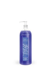 Tonējošs bezsulfātu šampūns Navitas Organic Touch Blueberry Ice, 250ml cena un informācija | Šampūni | 220.lv