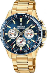 часы festina timeless chronograph 20634/2 цена и информация | Женские часы | 220.lv