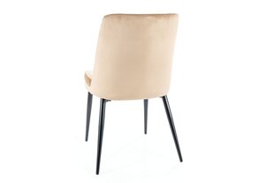 4-u ēdamistabas krēslu komplekts Signal Kayla Velvet, smilškrāsas/melns cena un informācija | Virtuves un ēdamistabas krēsli | 220.lv