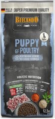 Belcando Puppy GF Poultry для щенков всех пород до 4 месяцев 12,5 кг цена и информация | Сухой корм для собак | 220.lv