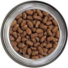 Belcando Adult Lamb & Rice гипоаллергенный корм для собак с нормальным уровнем активности, на основе ягненка и риса 12.5 кг цена и информация |  Сухой корм для собак | 220.lv