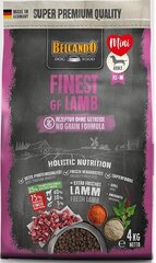 Belcando Finest GF Lamb mazu un vidēju šķirņu pieaugušiem suņiem ar jēru 4 kg cena un informācija | Sausā barība suņiem | 220.lv